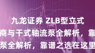 九龙证券 ZLB型立式轴流泵供应商与干式轴流泵全解析，靠谱之选在这里