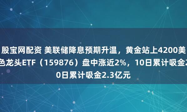 股宝网配资 美联储降息预期升温，黄金站上4200美元！有色龙头ETF（159876）盘中涨近2%，10日累计吸金2.3亿元